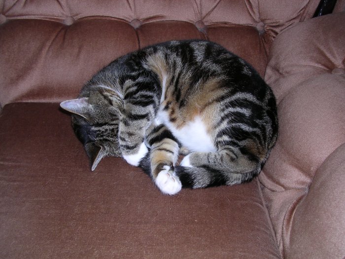 Resting in peace - again!